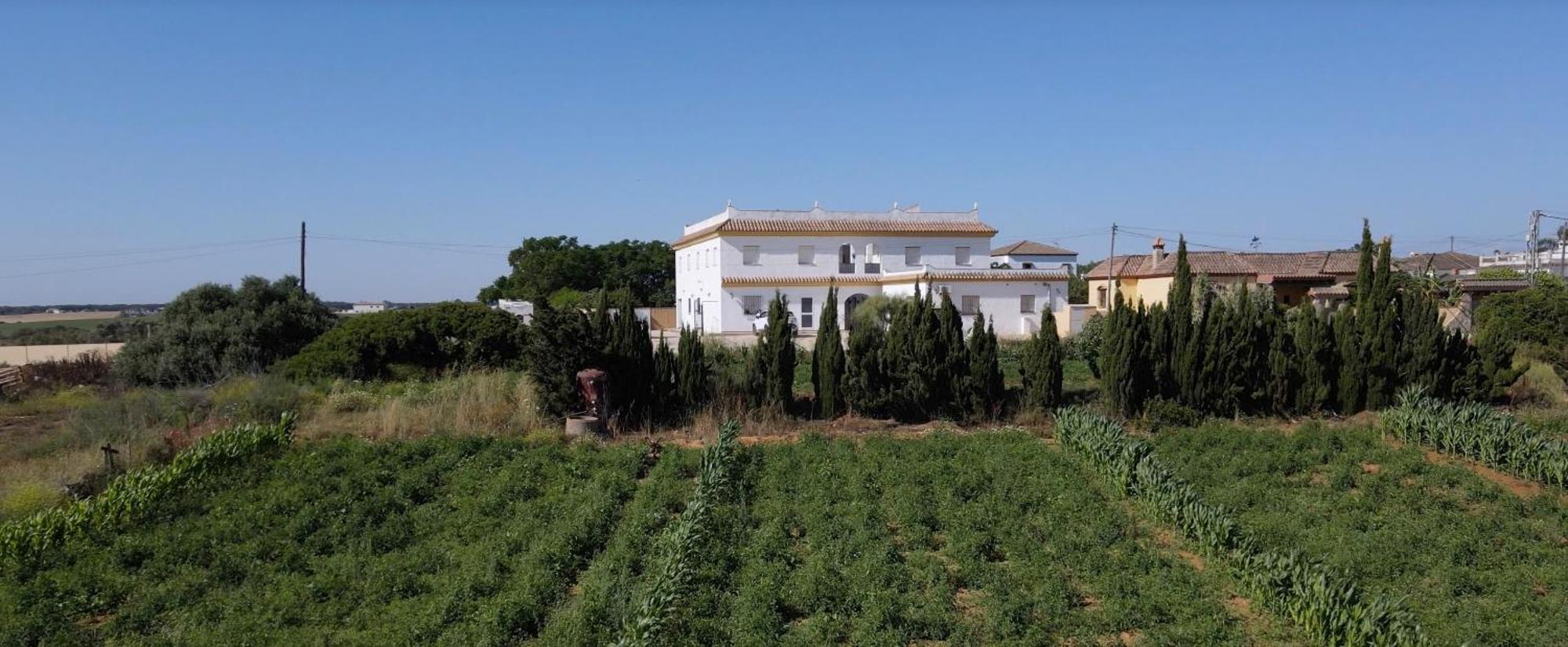Alojamiento Rural Al'Mare Conil de la Frontera Kültér fotó